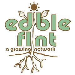 Edible Flint