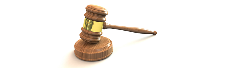 People's Law School