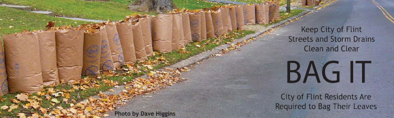 Flint Residents - Bag Your Leaves